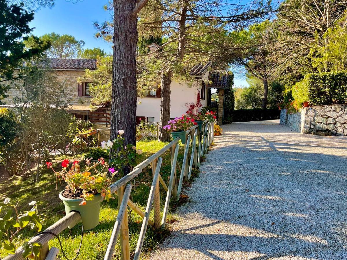 La Panoramica Gubbio - Maison De Charme - Casette E Appartamenti Self Catering Per Vacanze Meravigliose! 외부 사진
