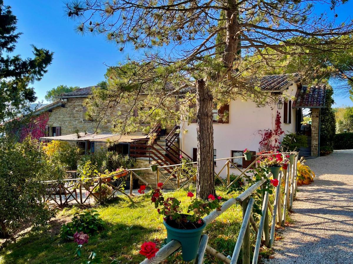 La Panoramica Gubbio - Maison De Charme - Casette E Appartamenti Self Catering Per Vacanze Meravigliose! 외부 사진