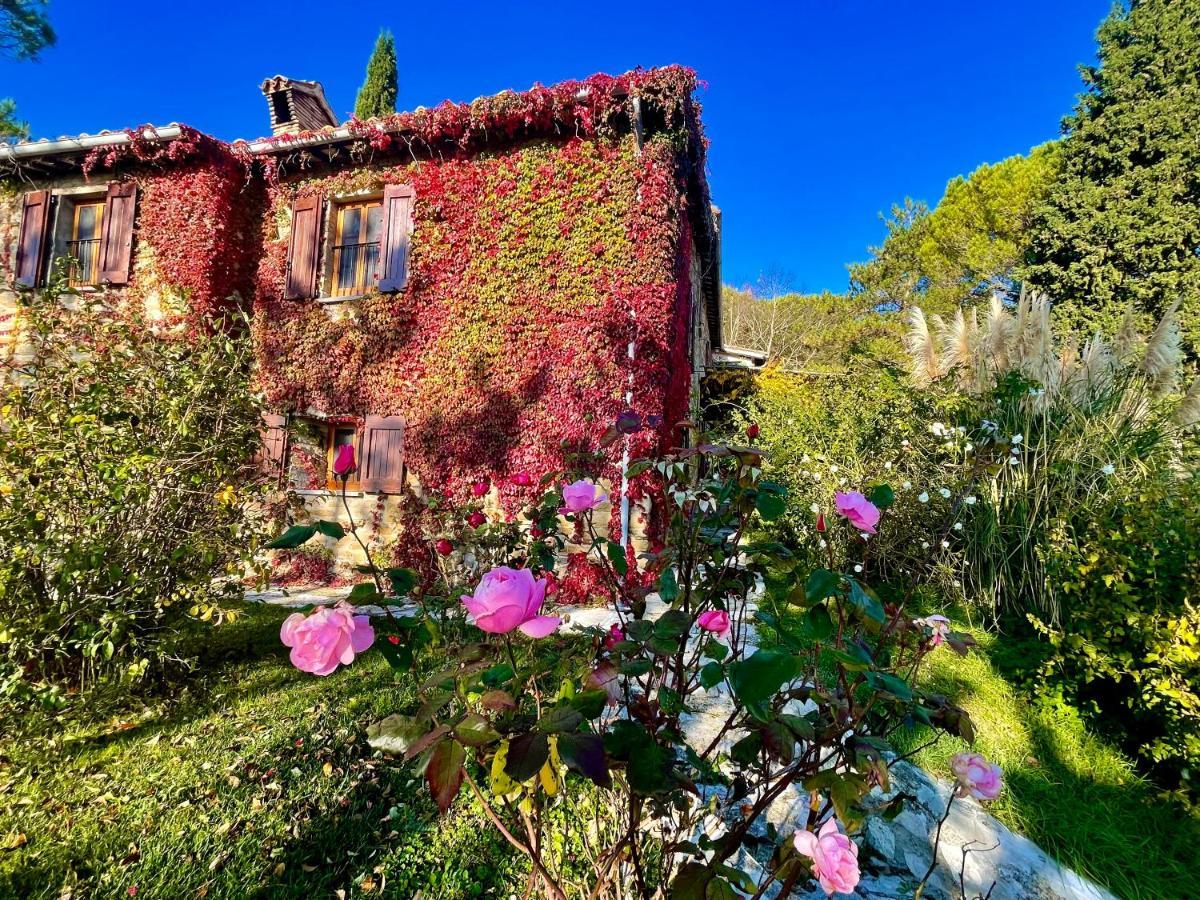 La Panoramica Gubbio - Maison De Charme - Casette E Appartamenti Self Catering Per Vacanze Meravigliose! 외부 사진